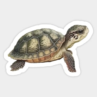 Ukiyoe Style Turtle Japanese Illustration Sticker